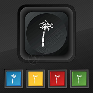 棕榈图标符号 在黑色纹理上为设计设置5个彩色 时髦的按钮 矢量图片