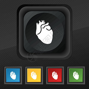 人类的心脏图标符号 为您的设计设置黑色纹理上的五个彩色时尚按钮 韦克托图片