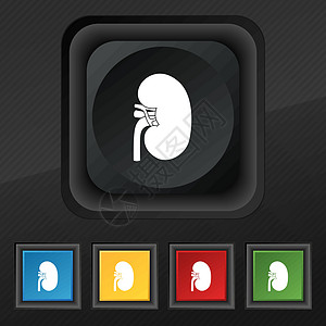基德尼图标符号 在黑色纹理上为您设计一套五色 时髦的扣子 矢量图片