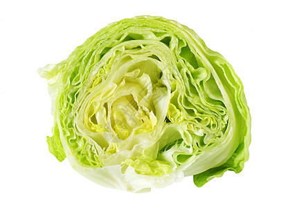 冰白生素叶菜横截面食物树叶蔬菜库存制品生物宏观图片
