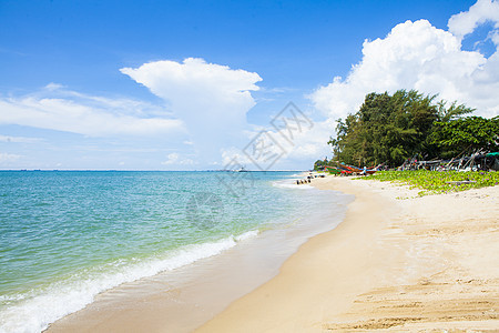 东海太阳旅行风景阳光蓝色假期海岸线棕榈全景海滩图片