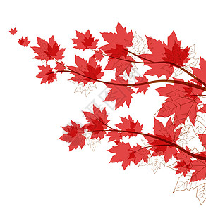矢量秋假插图森林框架叶子环境飞行公园感恩橙子花园图片