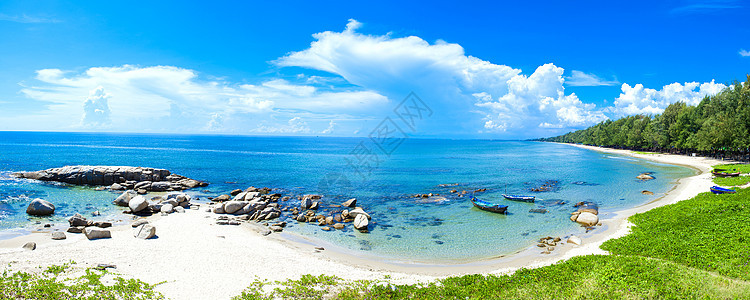东海椰子海滩蓝色海浪太阳场景棕榈海洋风景全景图片