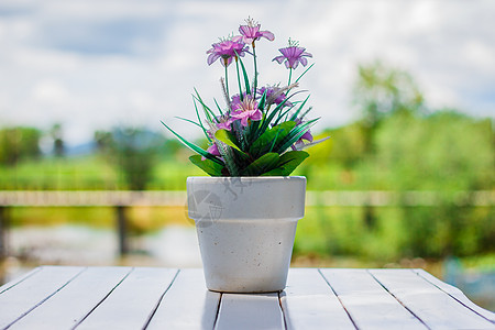 花盆中的花朵 在白桌上 有背景季节性百合美丽雏菊花瓶植物园艺紫色绿色白色图片