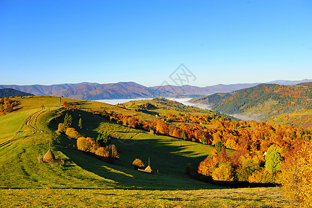 秋季风景晴天草地木头植物群叶子农村森林橙子天气阳光图片