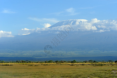乞力马扎罗山乞力岩石旅行旅游火山戏剧性国家蓝色顶峰荒野图片