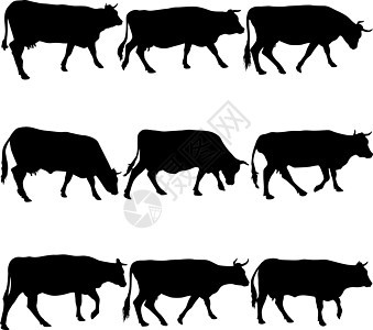 牛的集合黑色剪影 矢量图哺乳动物小牛牛奶动物农场牛肉绘画家畜农村插图图片