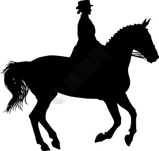 马和 jocke 的矢量剪影农场插图行动荒野野马良种马术夹子白色动物图片