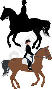 马和 jocke 的矢量剪影速度野马鬃毛饲养动物荒野插图自由行动良种图片
