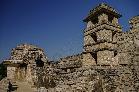 墨西哥恰帕斯州帕伦克的玛雅废墟纪念碑地标建筑学丛林游客旅游历史性森林历史旅行图片