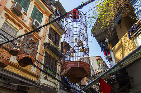 越南河内老区街头笼子里的鸟儿图片