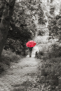 红伞女孩在森林中漫步发束下雨孤独日光胡同公园树叶女性树木叶子图片