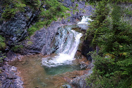 水瀑瀑布石头场景运动树木植物荒野风景岩石旅行图片