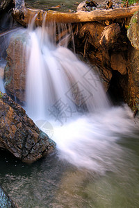 水瀑风景场景木头叶子瀑布旅行流动荒野环境国家图片
