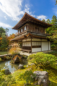 京都银角寺庙别墅森林寺庙池塘天空历史光洋建筑日光花园图片