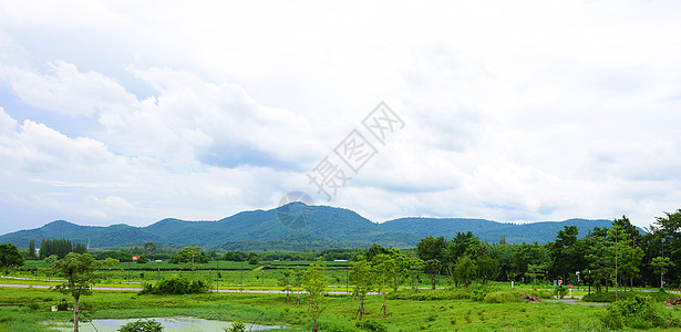 泰国的风景和山岳植物树木农场农业地面丛林环境场地天空日出图片