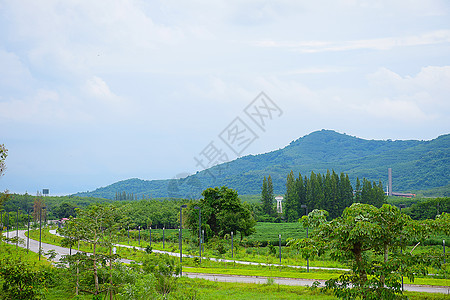 泰国的风景和山岳叶子场地森林山脉食物地面丛林爬坡植物农业图片