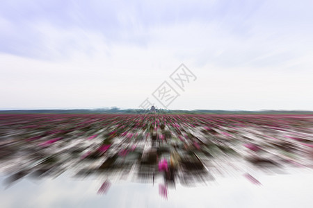 泰国Udonthani的红莲湖 带半径模糊背状图片