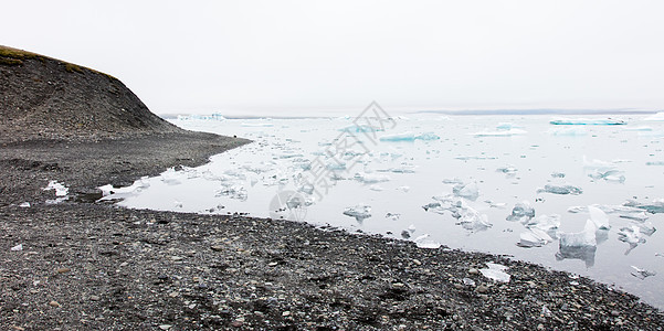 Jokulsarlon是冰岛东南部的一个大型冰川湖荒野野生动物勘探风景环境地形旅行公园海景冰山图片