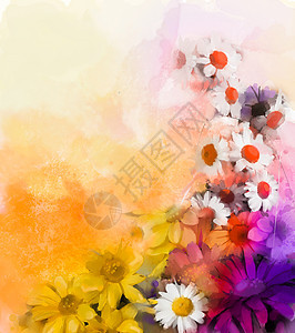 白黄色 黄柳和红色菊花及雪贝拉的鲜活花背景图片