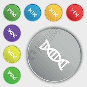 Dna 图标标志 八个平面按钮上的符号 韦克托克隆身体蓝色曲线科学生物化学药品生活染色体图片