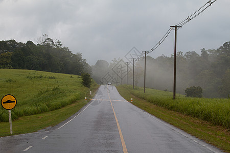 雨后潮湿的道路戏剧性天气城市沥青农村树木孤独蓝色旅行小路图片