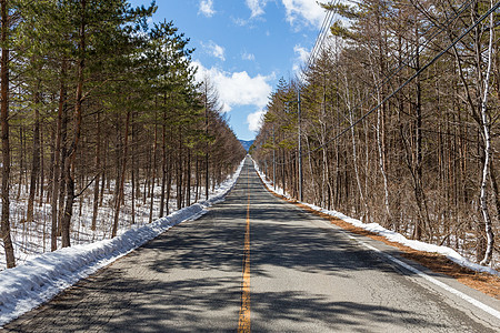冬季风景蓝色运输季节车道公园天空旅行森林通道阳光图片