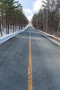 穿越雪田和森林的冬季道路运动旅行晴天季节蓝色场景阳光街道木头松树图片