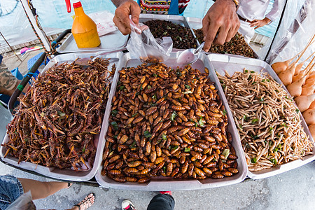 街头流浪食品热带文化甲虫昆虫油炸营养生物蟋蟀臭虫情调图片