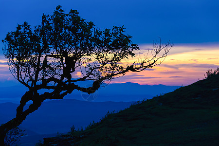 日落 高山上树有光影天空野生动物阳光蓝色日出橙子风景山脉场景太阳图片