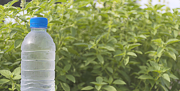 混凝土地板上的水瓶塑料蓝色茶点瓶装叶子饮食活力矿物植物环境图片