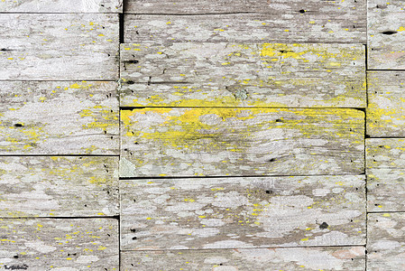 旧木木木背景风化装饰粮食材料风格松树桌子木板木地板正方形图片