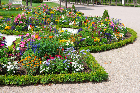 夏花公园的鲜花床蓝色季节园艺植物风景紫色草地场景花园场地背景图片