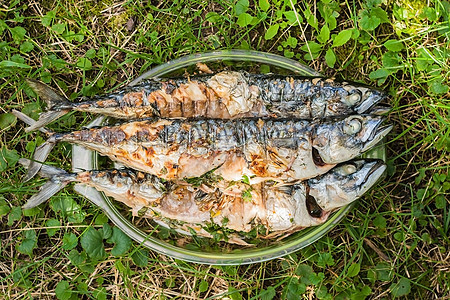 在草地上的玻璃盘中烤烤熟的麦子鱼材料鲭鱼烘烤蔬菜托盘海鲜柠檬文化油炸木头图片