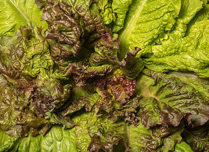 整个本底新鲜生菜的配料叶食物床单紫色杂货店宏观饮食营养花园蔬菜水分图片