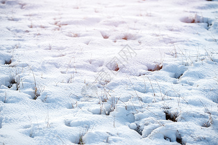 冬季风景雾凇假期太阳日落寒冷蓝色童话天空季节天气图片