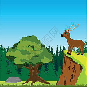 鹿在木头中图片