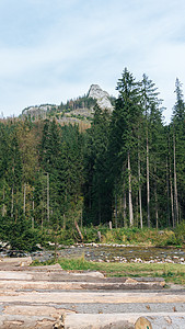 波兰塔特拉斯Koscielisko谷地的景象岩石高山公园爬坡抛光环境旅行旅游天空国家图片