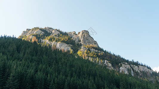 波兰塔特拉斯Koscielisko谷地的景象国家场景爬坡公园高山旅游日出天空森林环境图片