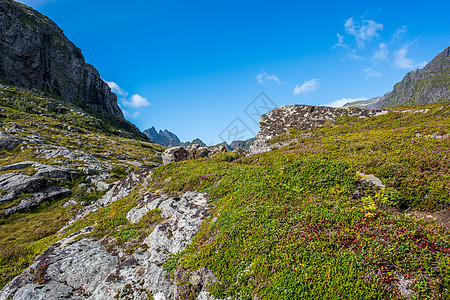 夏季风景多姿多彩 挪威山峰尖锐全景公园山脉天空顶峰场地阴霾反思旅游岩石图片