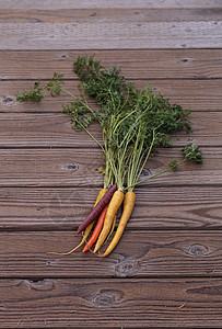 一群多彩红色 黄色和橙色有机胡萝卜橙子绿色农场木头蔬菜乡村健康健康饮食图片