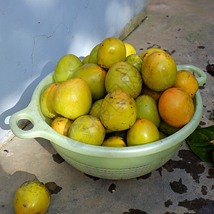 persimmmon水果 越南农产品季节性收获绿色食物柿子季节收成农业热带团体图片