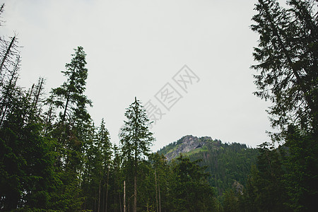 山区大山地貌石头天空树木蓝色顶峰岩石冒险首脑绿色爬坡图片