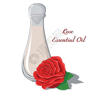 玫瑰基本石油瓶子艺术草本植物叶子液体女性卫生疗法问候语肥皂图片