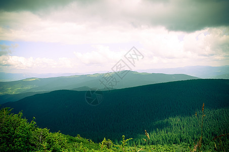 乌克兰喀尔巴阡山起雾中的山脉植物首脑场地风景日落薄雾蓝色草地岩石全景图片