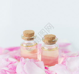 玫瑰基本石油草本植物化妆品治疗芳香脆弱性花瓣玻璃炼金术温泉疗法图片