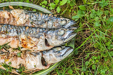 在草地上的玻璃盘中烤烤熟的麦子鱼胡椒烘烤文化金属蔬菜海鲜午餐烧烤烹饪用具图片