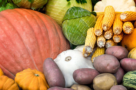 蔬菜收成在集市出售园艺玉米食物农场免版税图片南瓜营养土豆树叶图片