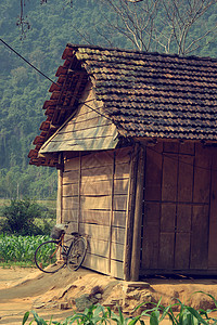 农村旧木制房屋和自行车场景国家绿色丛林园林生活村庄森林房子绿化图片