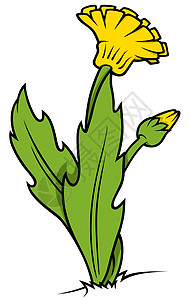 黄色排流Name动画片花瓣绘画手绘花蕾叶子植物卡通片区系插图图片